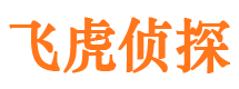 额济纳旗市侦探调查公司